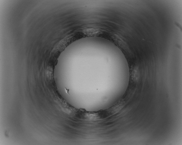 X0000101220283200807111104