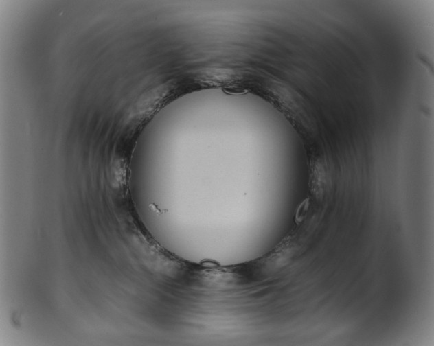 X0000101220284200807111104