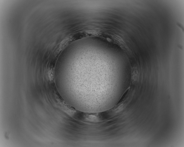 X0000101220285200807111104