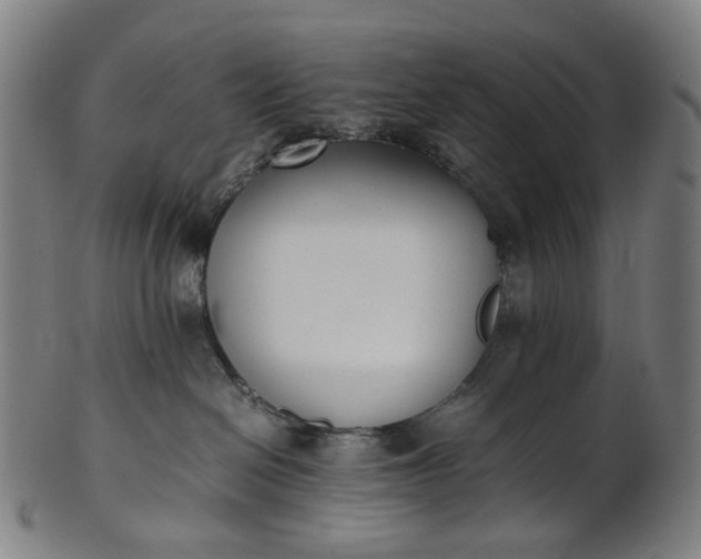 X0000101220286200807111104