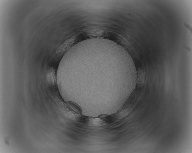 X0000101220287200807111104