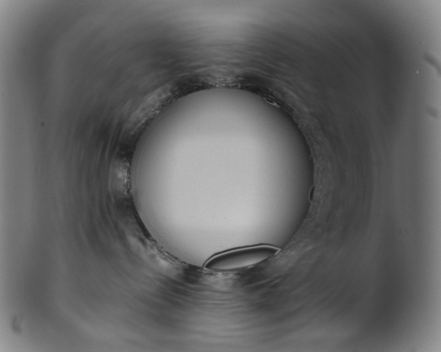 X0000101220288200807111104