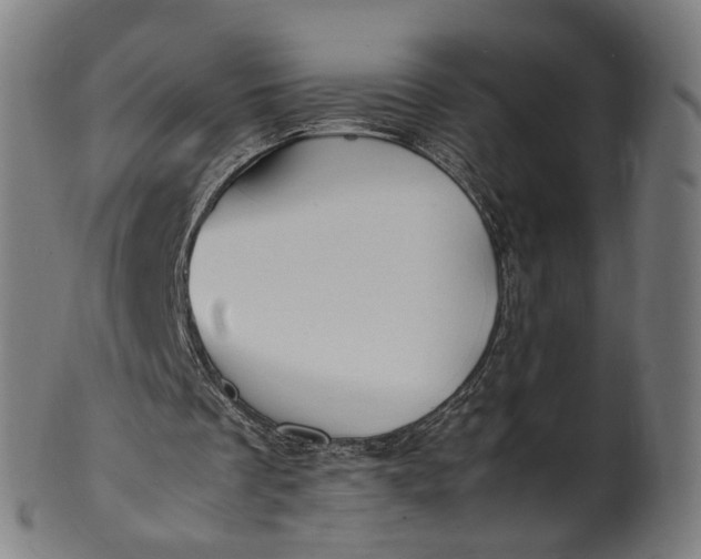 X0000101220289200807111103