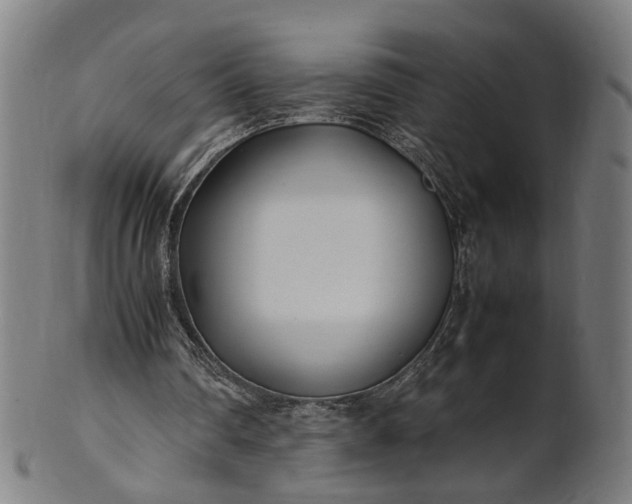 X0000101220290200807111103