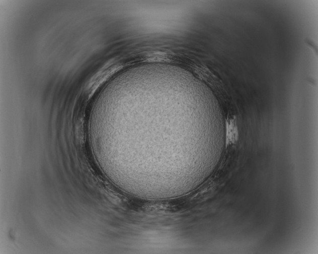 X0000101220291200807111103