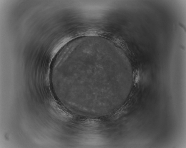 X0000101220292200807111103