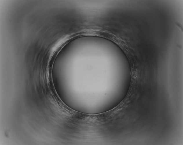X0000101220294200807111103