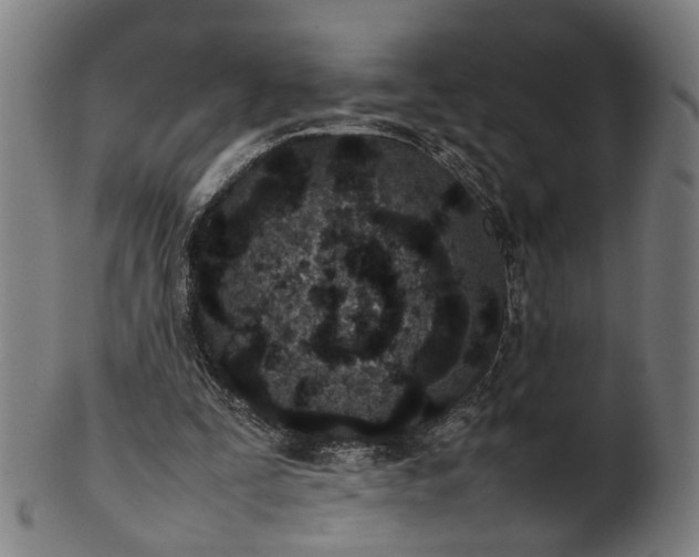 X0000101220295200807111103
