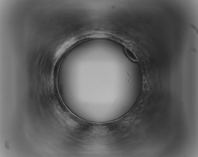 X0000101220296200807111103