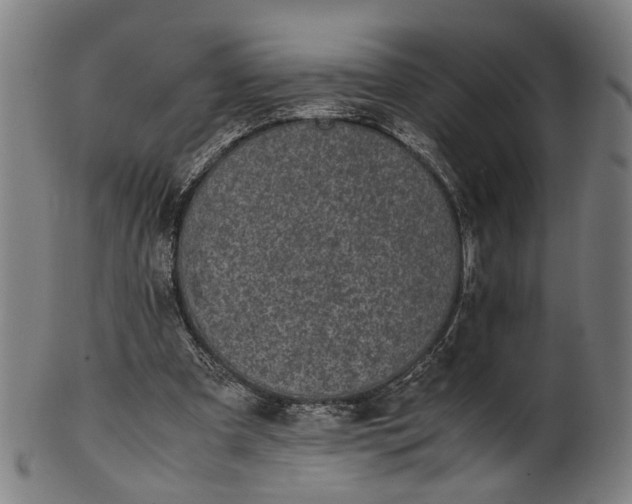 X0000101220297200807111103