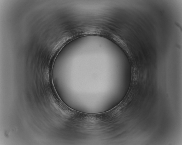 X0000101220298200807111103