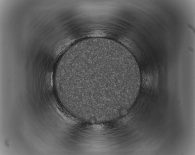 X0000101220302200807111103