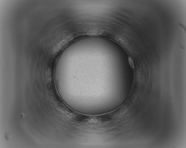 X0000101220303200807111103