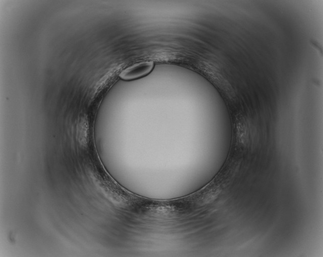 X0000101220304200807111103