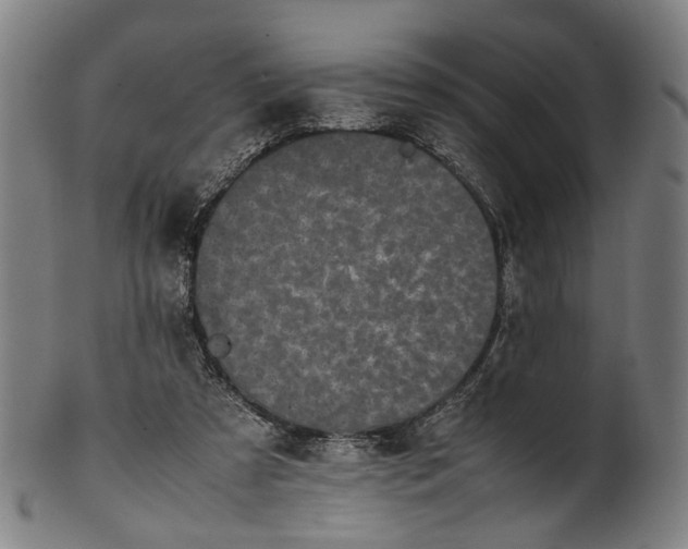 X0000101220305200807111103