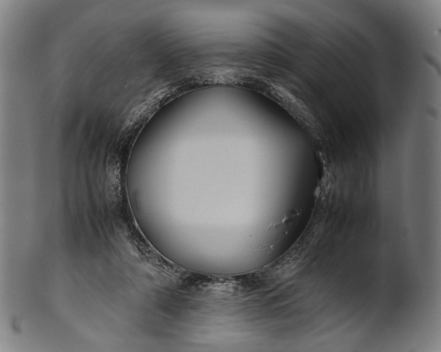 X0000101220306200807111103