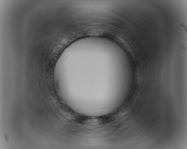 X0000101220307200807111103