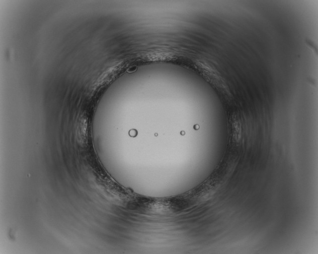 X0000101220308200807111103