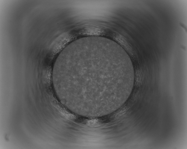 X0000101220309200807111103