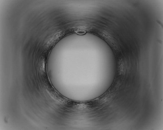 X0000101220310200807111103