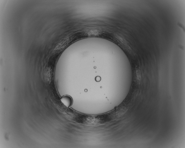 X0000101220311200807111103