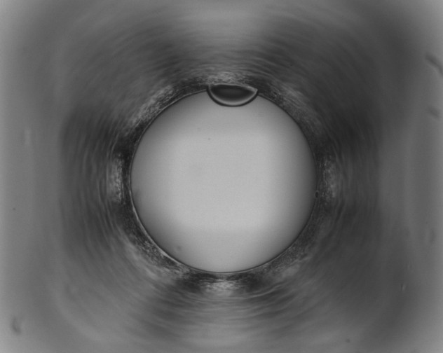 X0000101220312200807111103