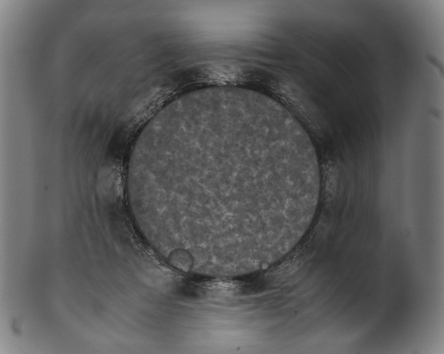 X0000101220313200807111103