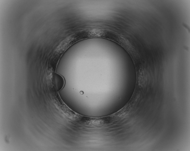X0000101220314200807111103