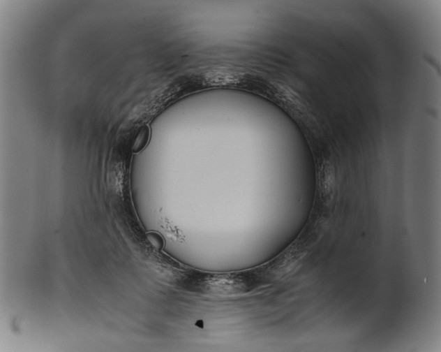 X0000101220315200807111103