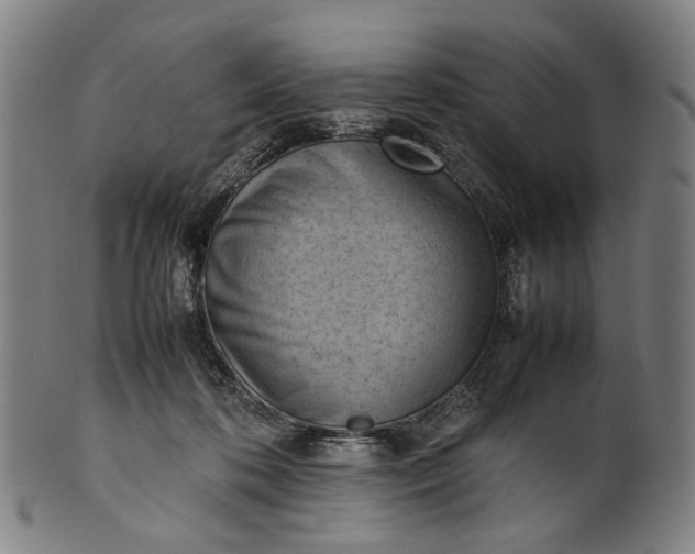 X0000101220316200807111103