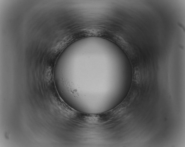 X0000101220318200807111103