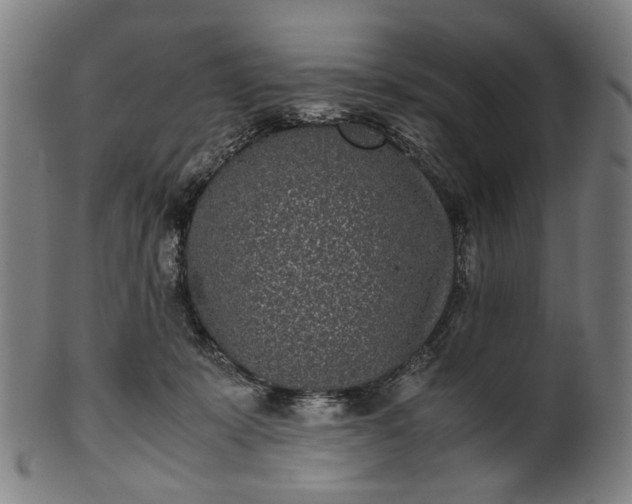 X0000101220319200807111103