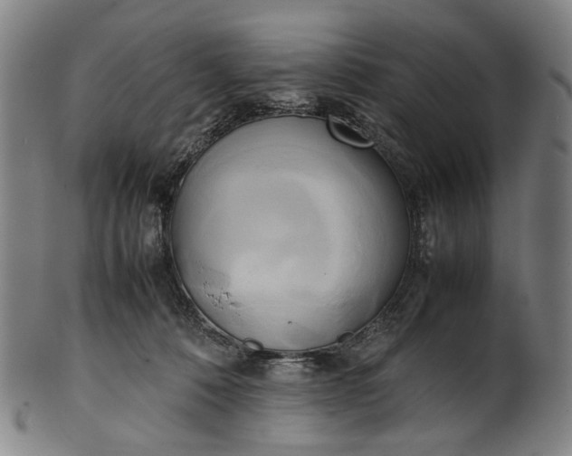 X0000101220320200807111103