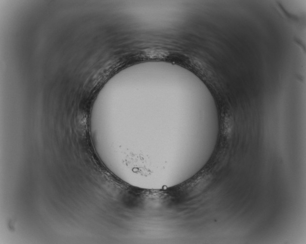 X0000101220321200807111103