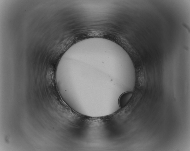 X0000101220322200807111103