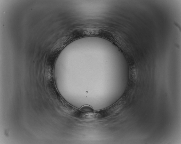 X0000101220323200807111103
