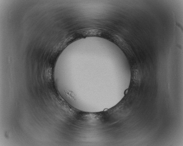 X0000101220326200807111102