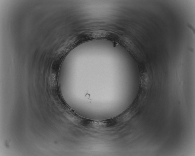 X0000101220327200807111102