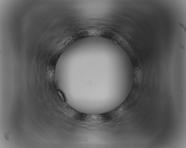 X0000101220329200807111102