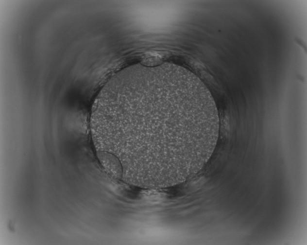 X0000101220331200807111102