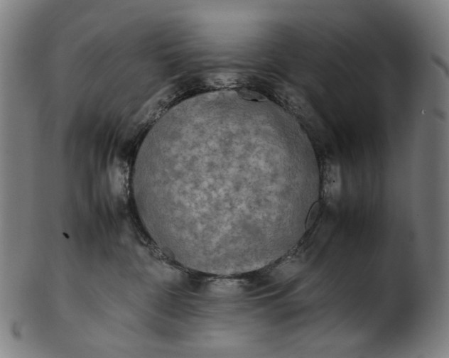 X0000101220332200807111102