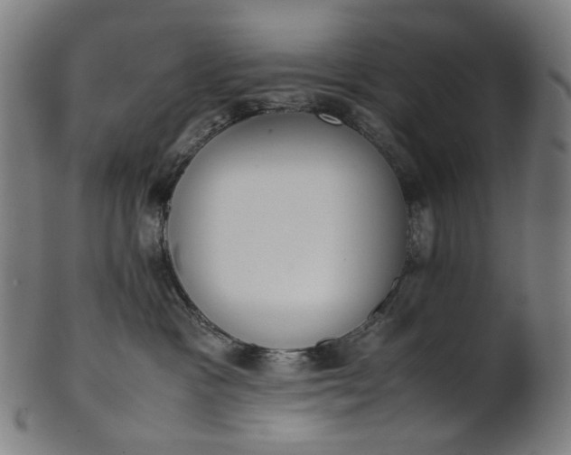 X0000101220333200807111102