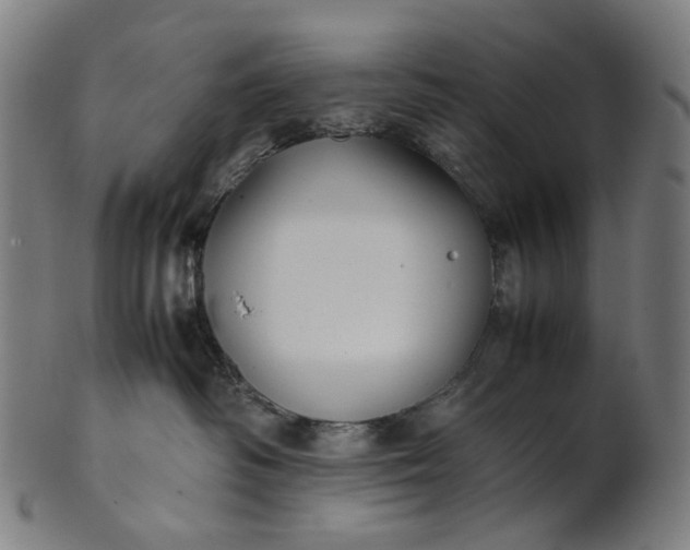 X0000101220334200807111102