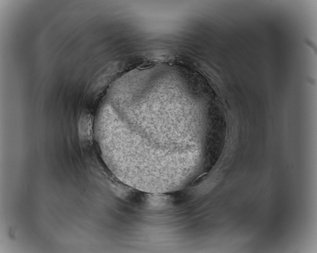 X0000101220336200807111102