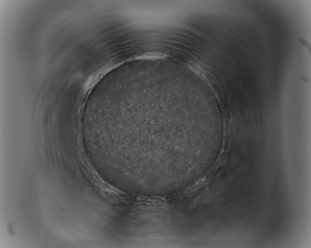 X0000101220337200807111102