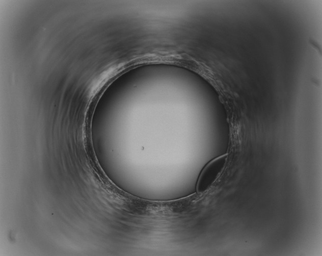 X0000101220340200807111102