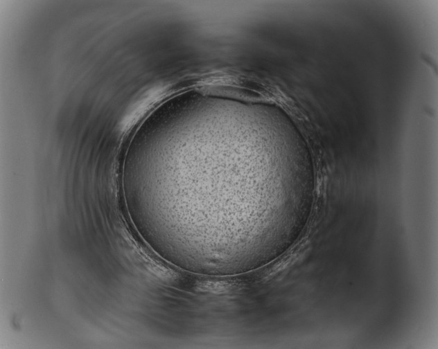 X0000101220341200807111102