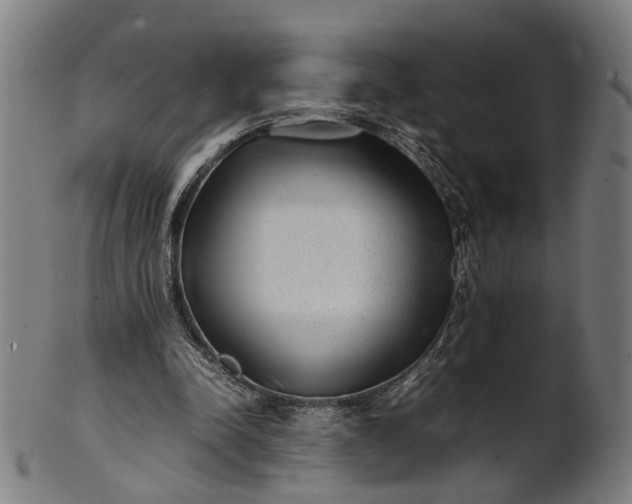 X0000101220342200807111102