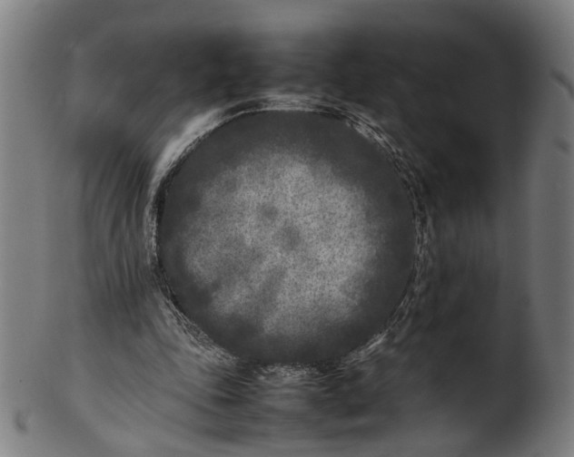 X0000101220343200807111102