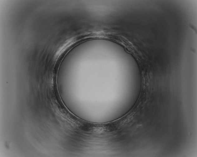 X0000101220344200807111102